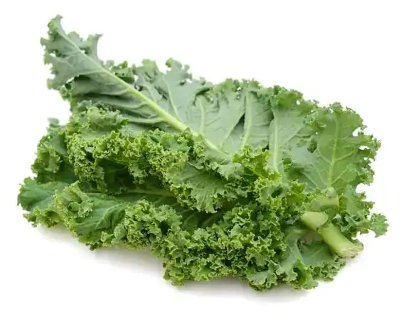 Del Monte Kale Leaves 500g  